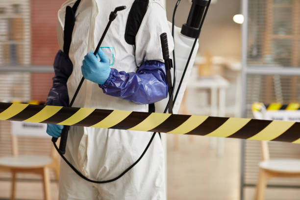 Professional Infectious Disease Decontamination technician working in Harrison, ME